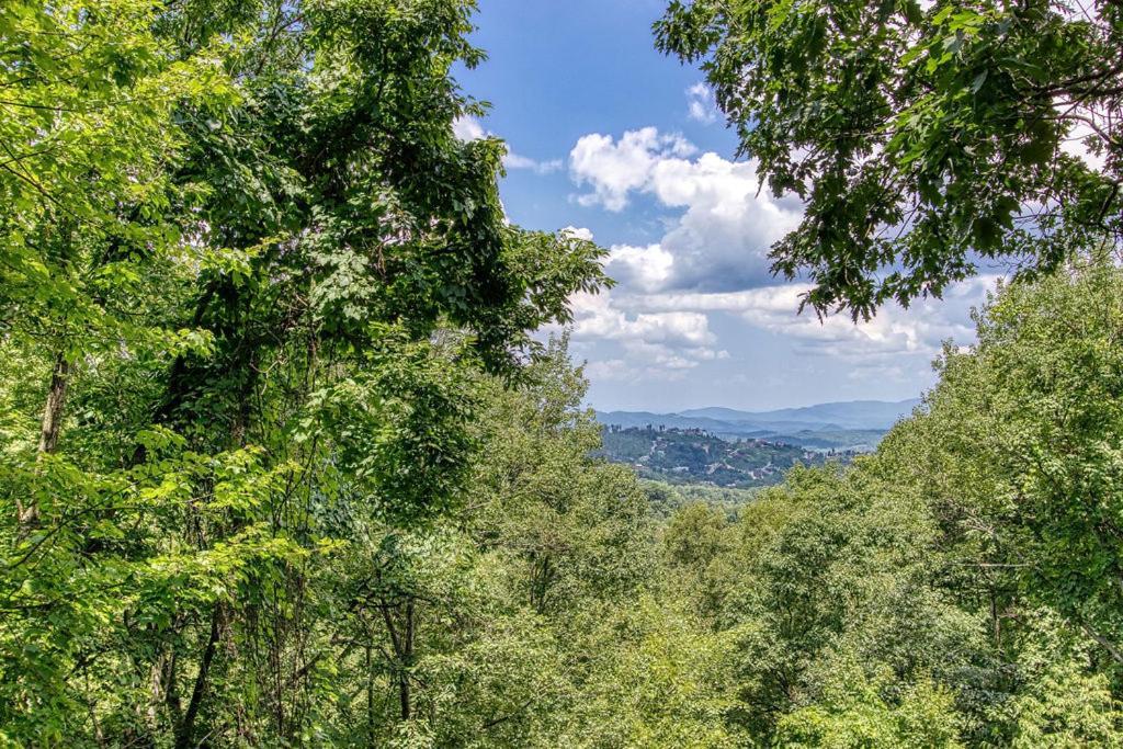 Serenity Heights, Amazing Views, Hot Tub Pool Access, 1089 Free Tickets Each Paid Day, Dollywood Gatlinburg Eksteriør billede