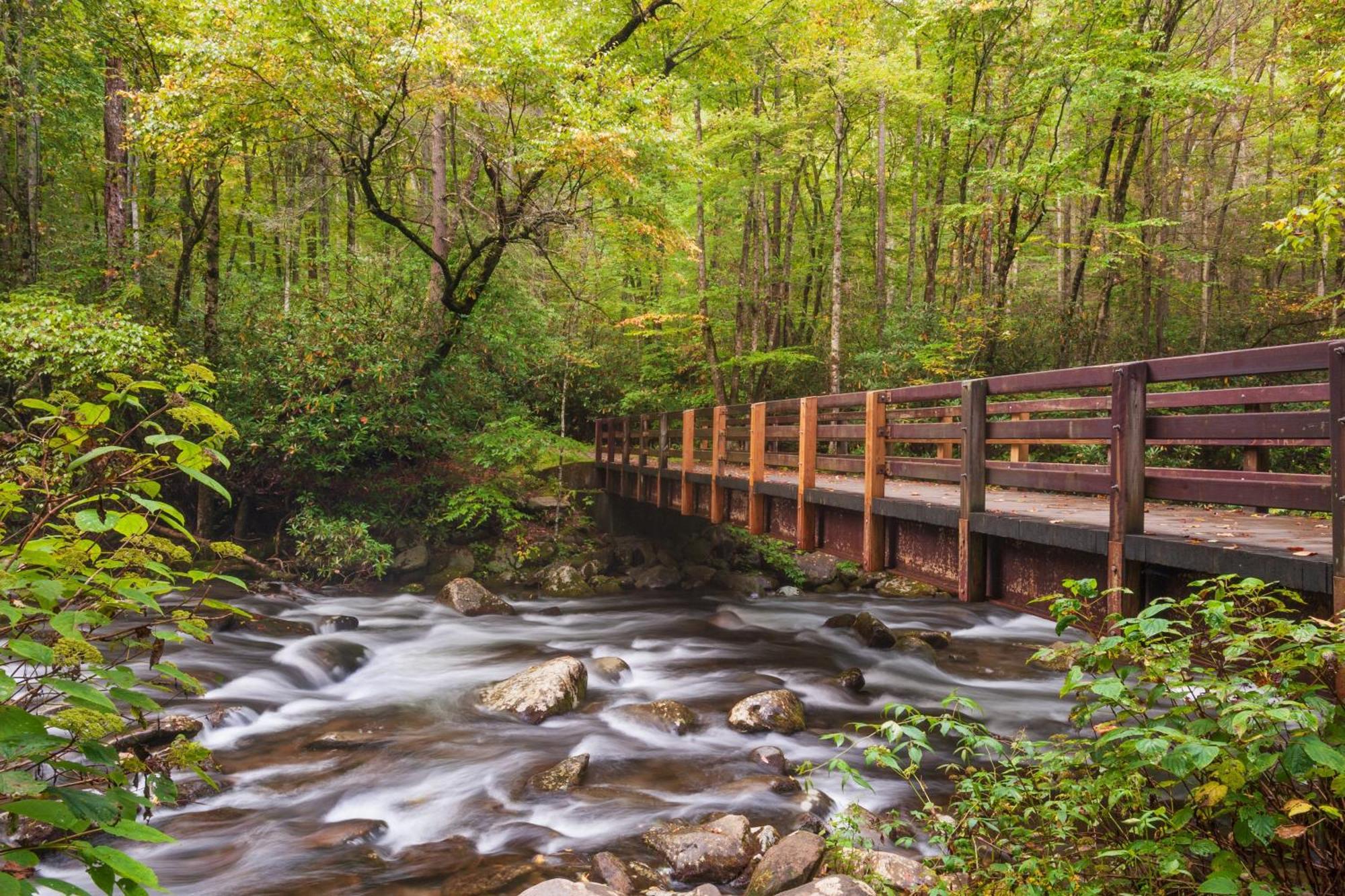 Serenity Heights, Amazing Views, Hot Tub Pool Access, 1089 Free Tickets Each Paid Day, Dollywood Gatlinburg Eksteriør billede