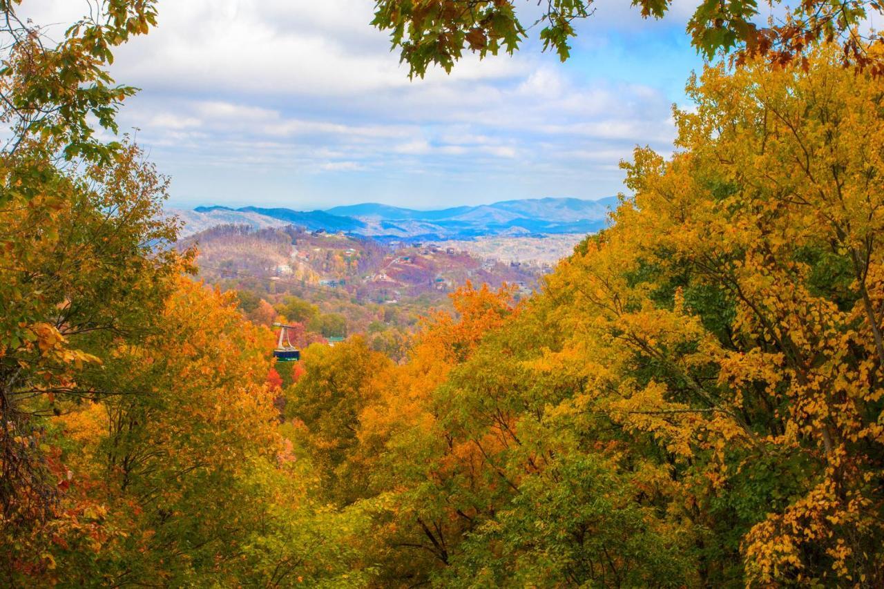 Serenity Heights, Amazing Views, Hot Tub Pool Access, 1089 Free Tickets Each Paid Day, Dollywood Gatlinburg Eksteriør billede
